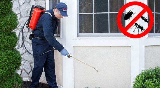 Alaçatı Kemirgen İlaçlama böcek ilaçlama ve haşere kontrolü — ilaclama-tr.com